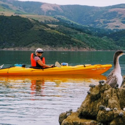 people in a yellow kayak