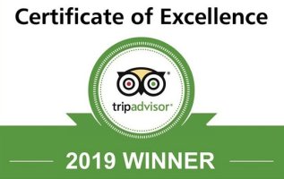 tripadvisor certificate of excellence