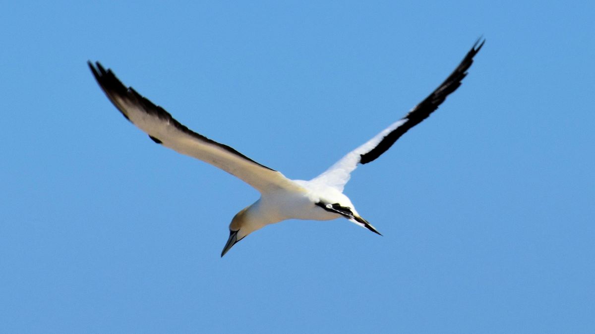 jeffrey-eisen-VpFJmIpB_94-unsplash jeffrey-eisen-VpFJmIpB_94-unsplash