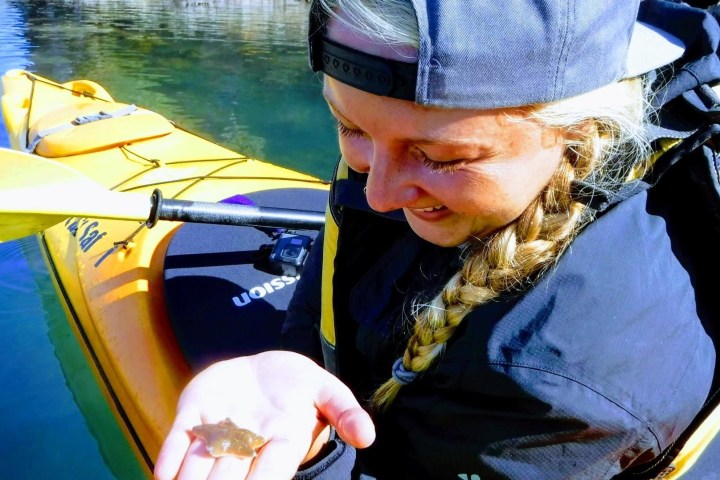 a young boy sitting on a boat in the water